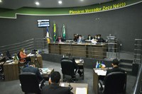 Sessão desta sexta-feira (19), vereadores apresentam propostas e comissões são instituídas na Câmara Municipal de Guaraí